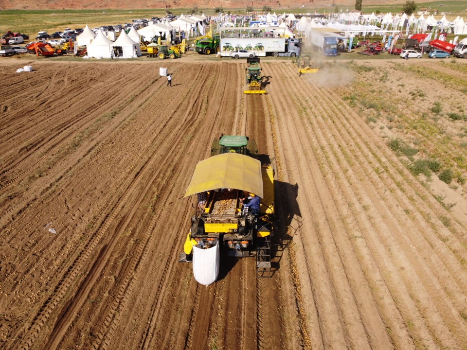 Potato harvester