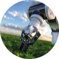 Roboterarm mit Greifer arbeitet über einem grünen Feld mit jungen Pflanzen.