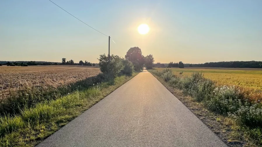 Das Bild zeigt eine graue Straße. Links und rechts stehen Bäume und die Sonne geht gerade über der Straße auf. 
